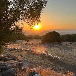 Su Saucu Casa vacanze Dorgali